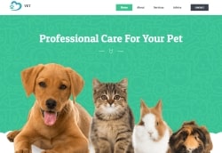 Home Page Mobile – Website BUILD and DESIGN – veterinarian featured Home Page Mobile | Website Design Agency